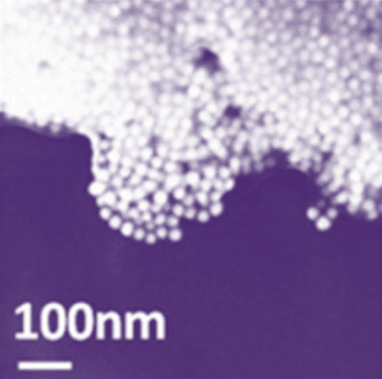 Image: Target viral DNA aggregates nanoparticles (Photo courtesy of Matthew Mancuso).